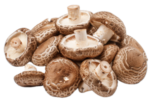 ai gegenereerd vers shiitake champignons gegroepeerd PNG