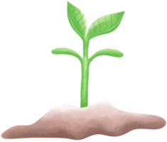 The Plant growing png