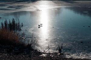 Silhouettes of two wild ducks in a sun glare. Two ducks are walking on ice photo