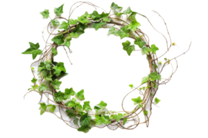 AI generated Ivy Vine Circle png