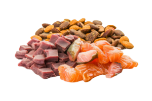 AI generated Assorted Dry Dog Food Pile png