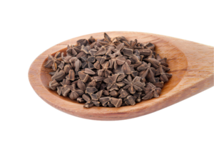 AI generated Dried Aniseed in a Rustic Wooden Spoon png