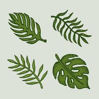 set natural tropical leaves vector logo template illustration EPS 10