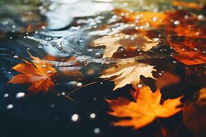 ai generado otoño estación, de cerca de vistoso caído otoño hojas en agua al aire libre foto