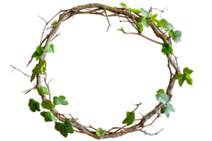 AI generated Ivy Vine Circle png