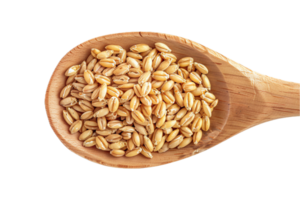 AI generated Whole Grain Wheat Kernels in Wooden Spoon png