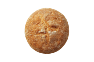 ai généré Célibataire rond croustillant biscuit salé png