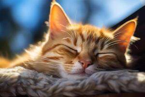 ai generado de cerca de un linda jengibre gato dormido al aire libre en un soleado día foto