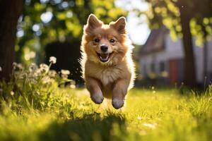 AI generated Cute funny playful dog running pet on the lawn on a sunny day. Animal action portrait photo