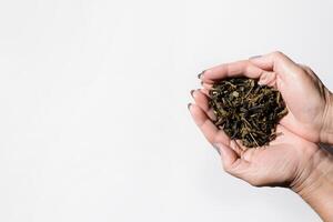Female hands holding dry tea leaves on a white background, top view copy space photo