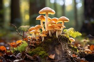 AI generated Close-up group of mushrooms growing on rotten stump and moss in forest photo