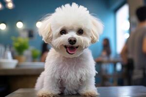 ai generado linda animal blanco mullido caniche en un mascota belleza salón aseo un perrito foto