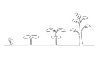 Continuous line drawing of step of tree growth. Plants grow isolated on white background vector