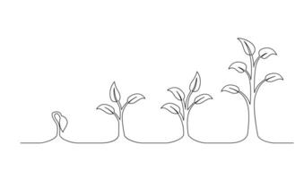 Continuous line drawing of step of tree growth. Plants grow isolated on white background vector