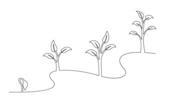 Continuous line drawing of step of tree growth. Plants grow isolated on white background vector