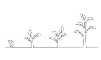 Continuous line drawing of step of tree growth. Plants grow isolated on white background vector