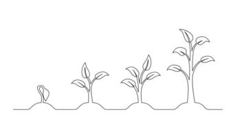 Continuous line drawing of step of tree growth. Plants grow isolated on white background vector