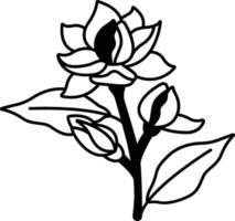 jazmín flor glifo y línea vector ilustración
