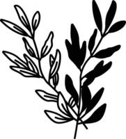 Rosemary glyph and line vector illustration