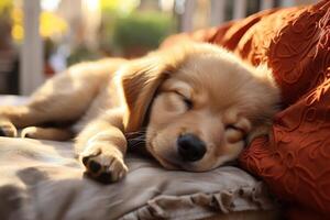 AI generated Sleeping cute puppy on the sofa indoors, resting tired pet dog photo