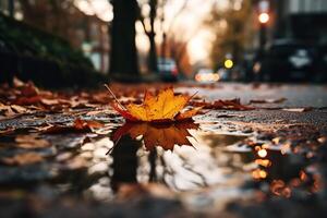 AI generated Close-up of fallen maple autumn leaf in puddle on sidewalk, low angle view. Fall season photo