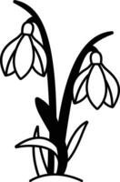 Snowdrop flower glyph and line vector illustration