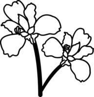 Iris flower glyph and line vector illustration