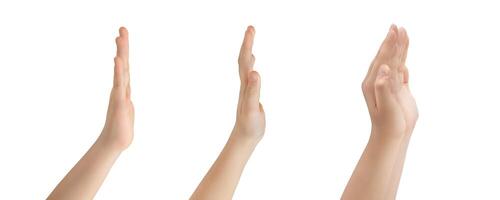 Hands in various gestures. Representing, showing, outstretched, holding gestures isolated on white background photo