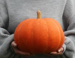 Woman holds big pumpkin in her hands, halloween theme, autumn harvest, woman's hands photo