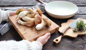 Woman holding fresh forest mushrooms on a dark background, Autumn cep mushrooms. Mushrooms picking and cooking photo