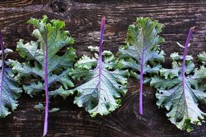 Red kale leaves or Russian kale on dark wooden background. photo