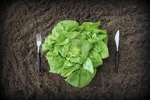 Healthy eating concept. Fork, knife and lettuce on soil . photo