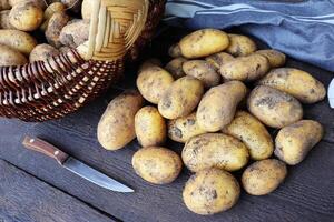 Basket full of fresh, young potatoes , towel and knife on wooden background, top view photo