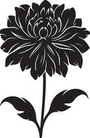 Dahlia Flower Silhouette Vector Illustration White Background