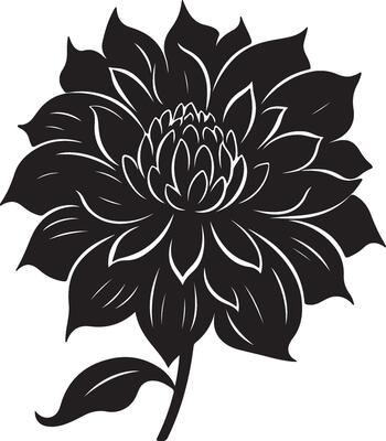 Dahlia Flower Silhouette Vector Illustration White Background
