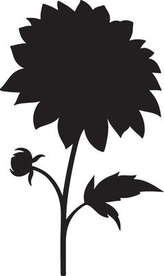 Dahlia Flower Silhouette Vector Illustration White Background