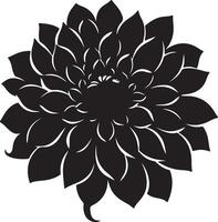 Dahlia Flower Silhouette Vector Illustration White Background