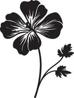 Geranium Flower Silhouette Vector Illustration White Background