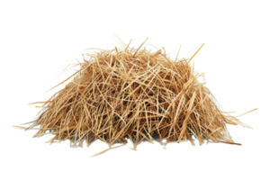 AI generated Pile of Dry Straw png