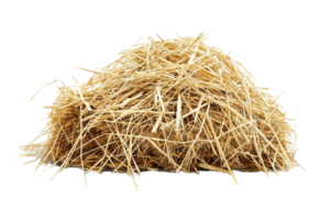 AI generated Pile of Dry Straw png