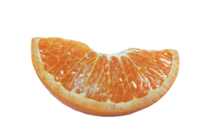 ai generiert frisch Orange Scheibe Nahansicht png