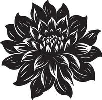 Dahlia Flower Silhouette Vector Illustration White Background