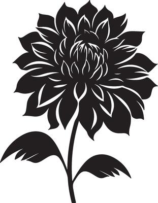Dahlia Flower Silhouette Vector Illustration White Background