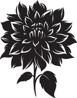 Dahlia Flower Silhouette Vector Illustration White Background