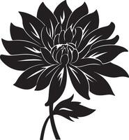 Dahlia Flower Silhouette Vector Illustration White Background