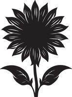 Sunflower Silhouette Vector Illustration White Background