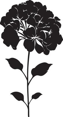 Hydrangea Flower Silhouette Vector Illustration White Background
