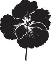 Begonia Flower Silhouette Vector Illustration White Background