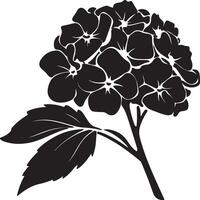 Hydrangea Flower Silhouette Vector Illustration White Background