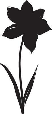 Daffodil Flower Silhouette Vector Illustration White Background